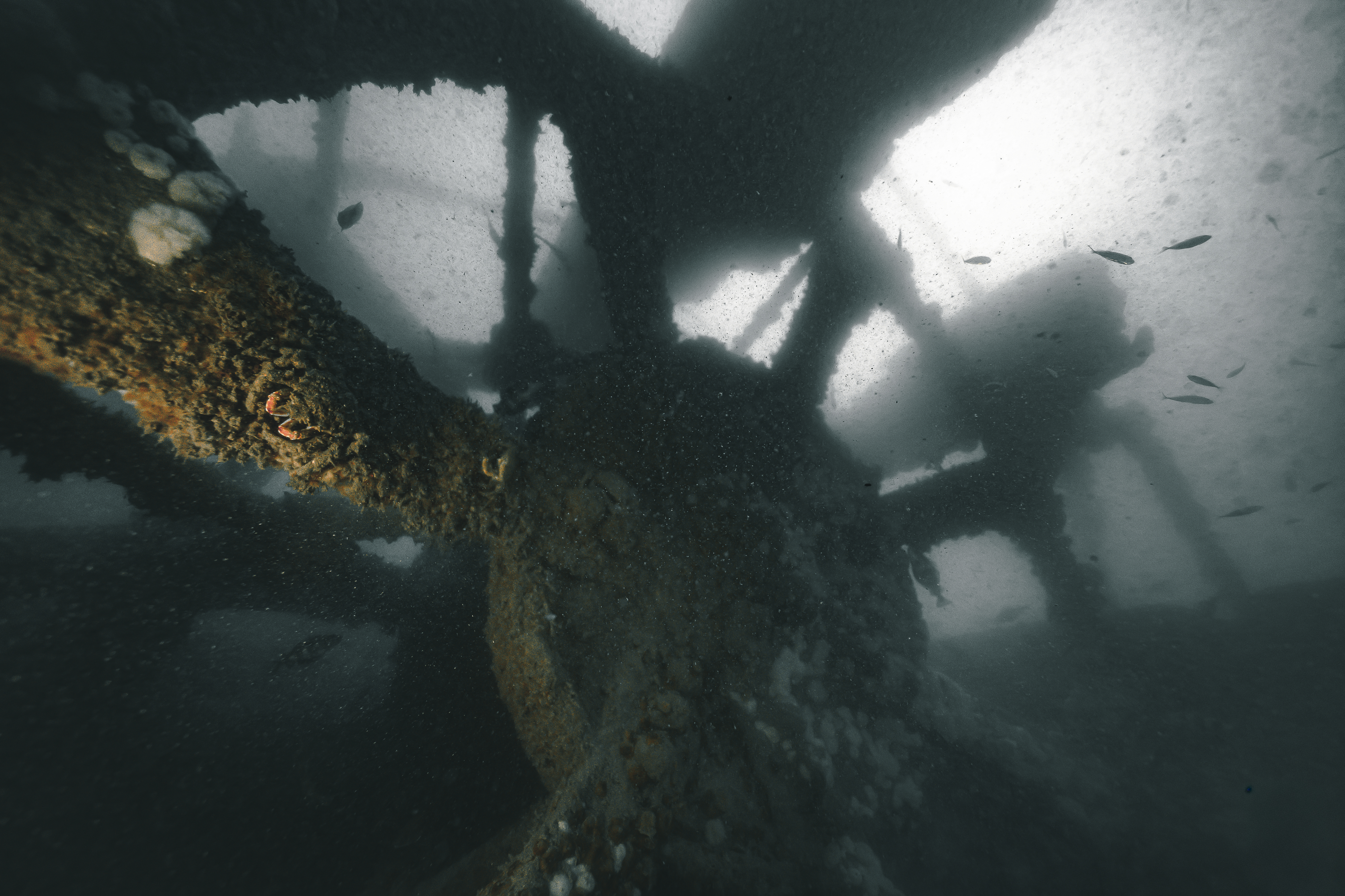 Dunkerque — Opération Dynamo